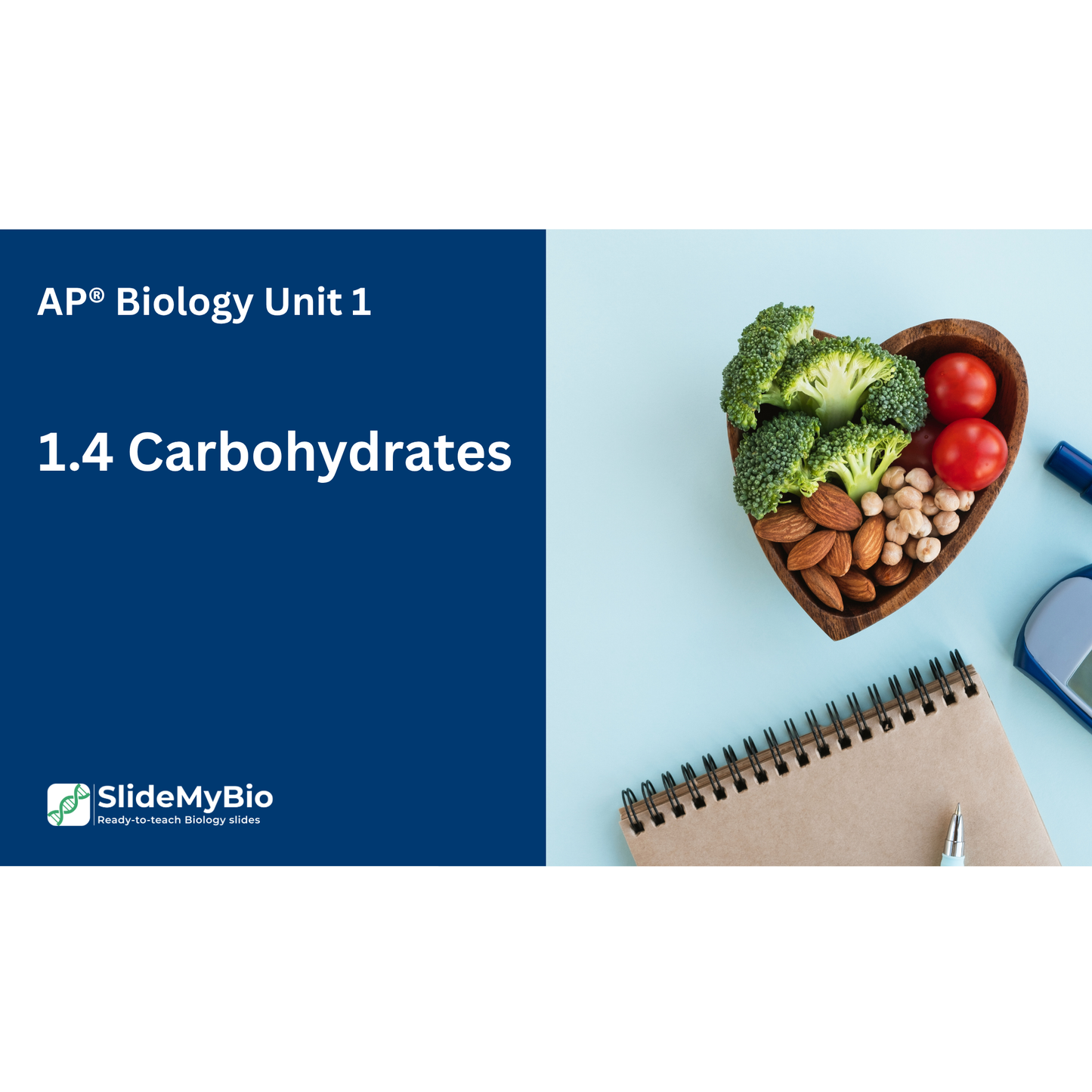 AP® Biology Unit 1.4 Carbohydrates