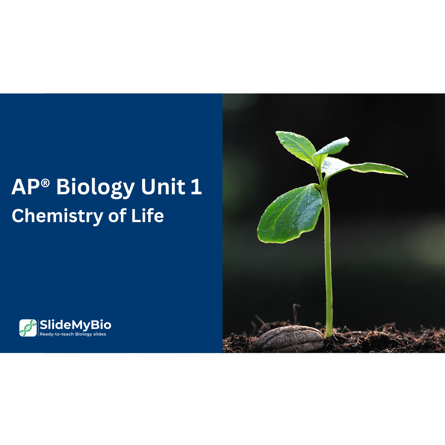 AP® Biology Unit 1. Chemistry of Life