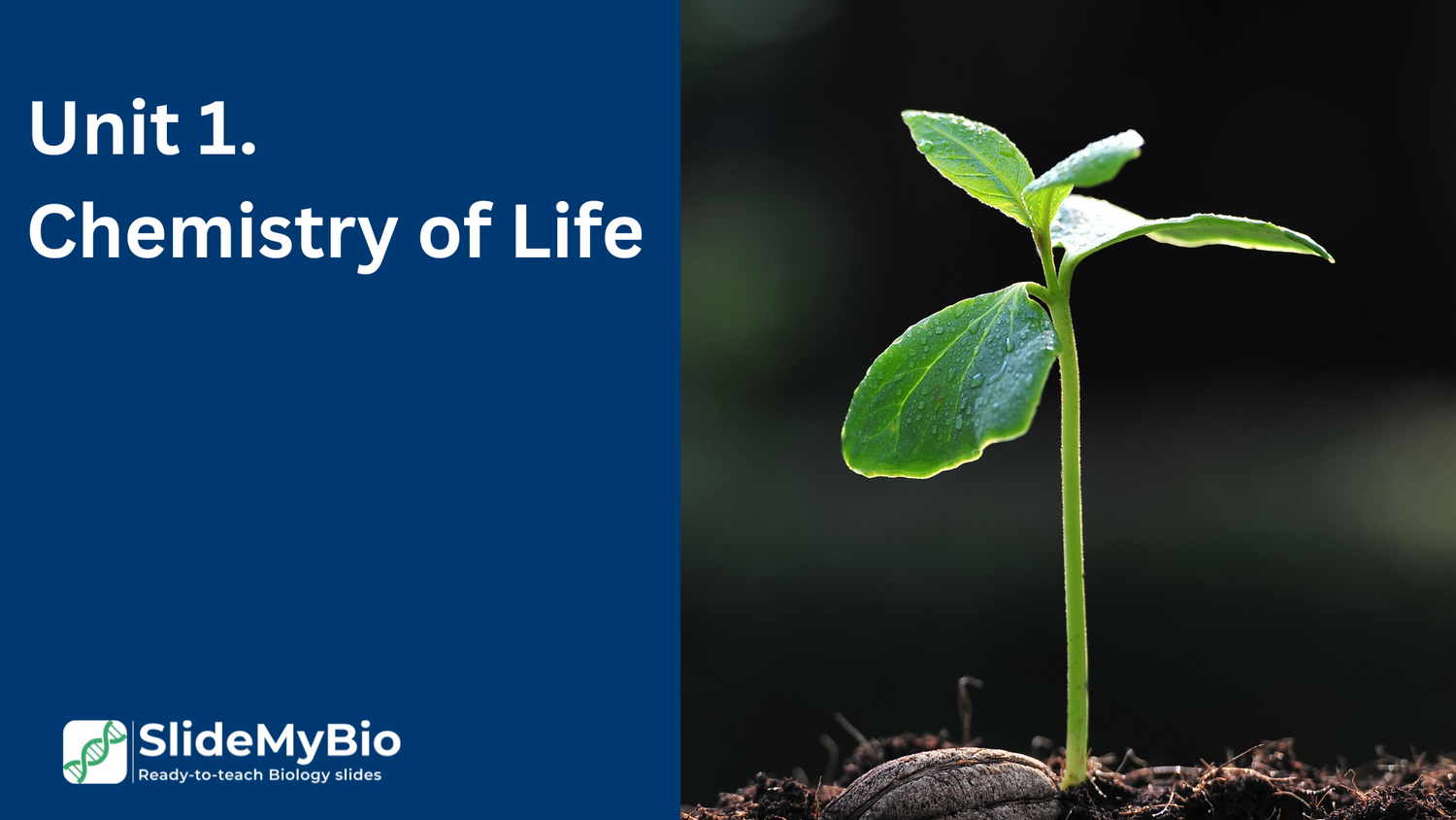 Unit 1. Chemistry of Life