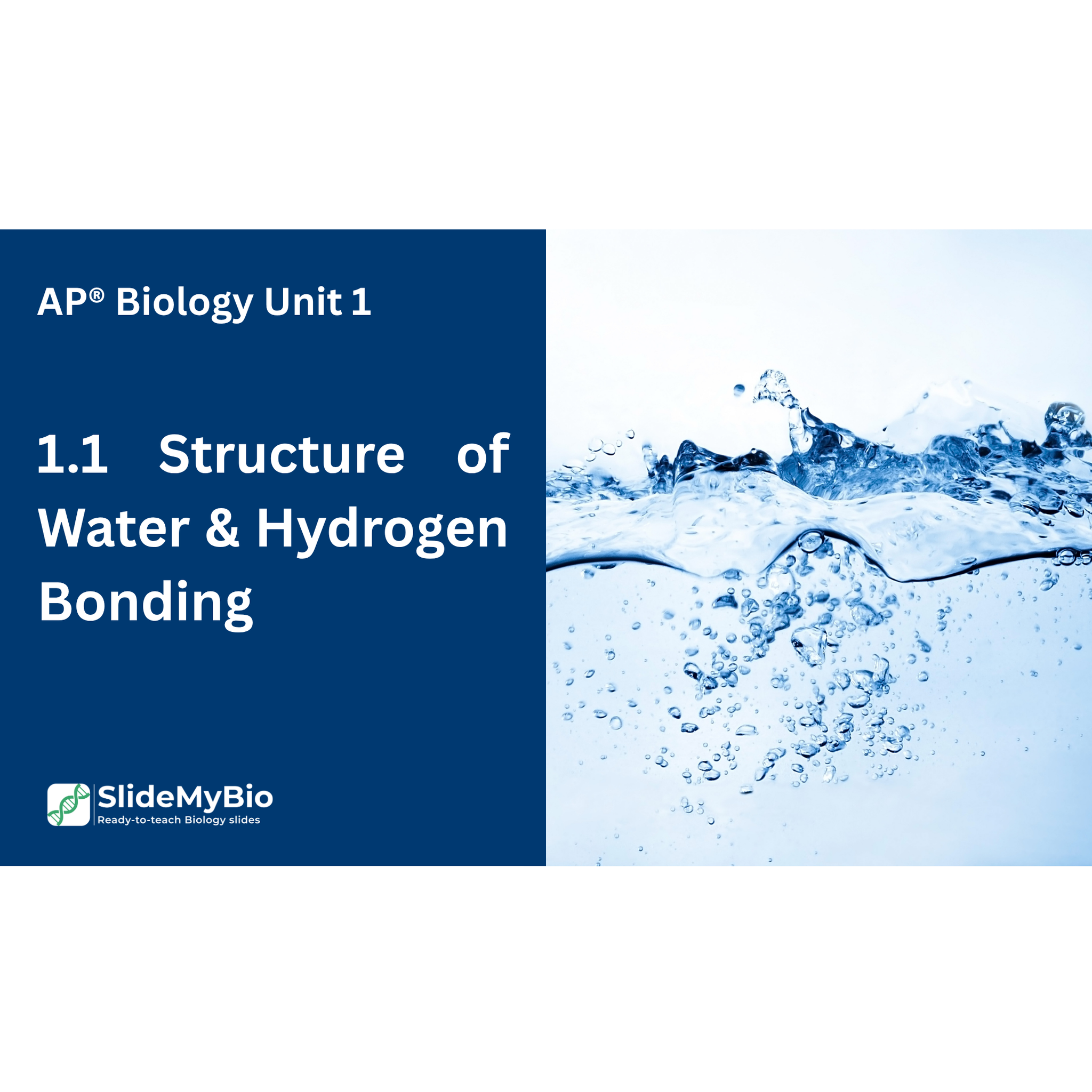 AP® Biology Unit 1.1 Structure of Water & Hydrogen Bonding