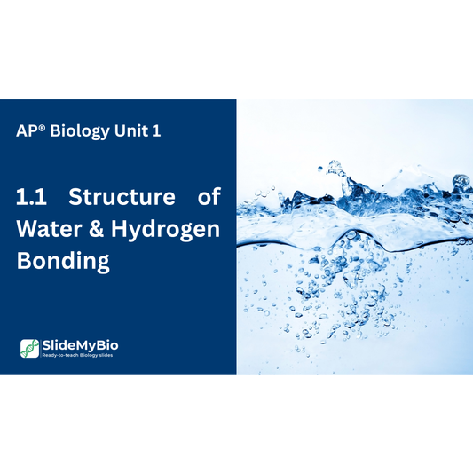 AP® Biology Unit 1.1 Structure of Water & Hydrogen Bonding