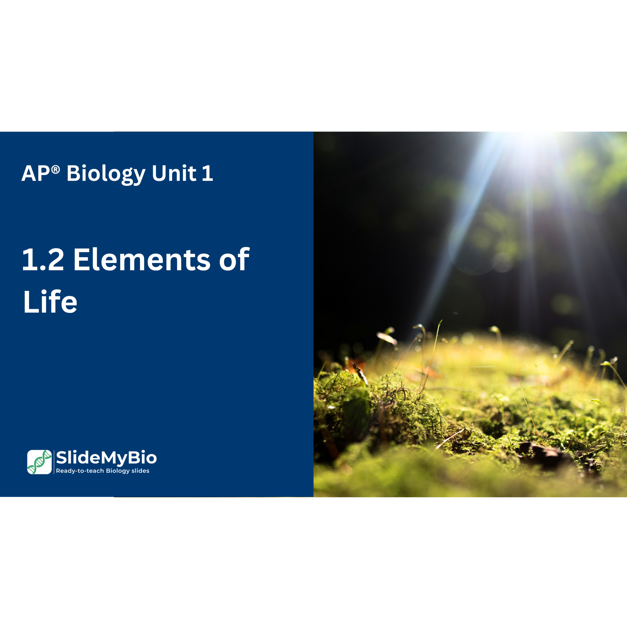 AP® Biology Unit 1.2 Elements of Life