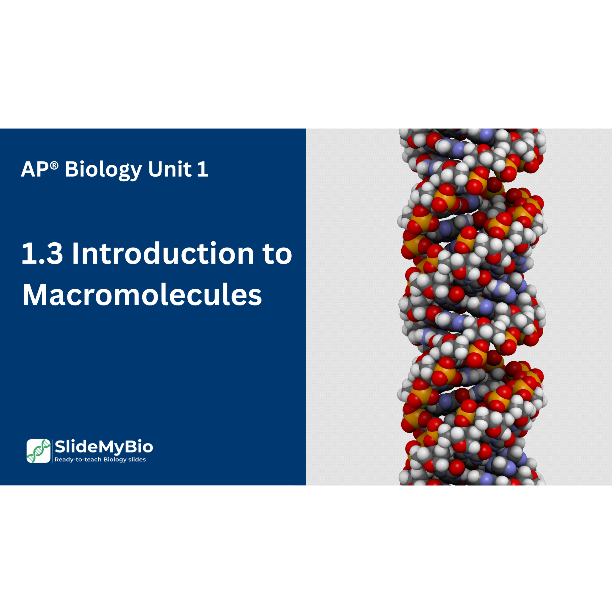 AP® Biology Unit 1.3 Introduction to Macromolecules