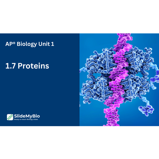 AP® Biology Unit 1.7 Proteins