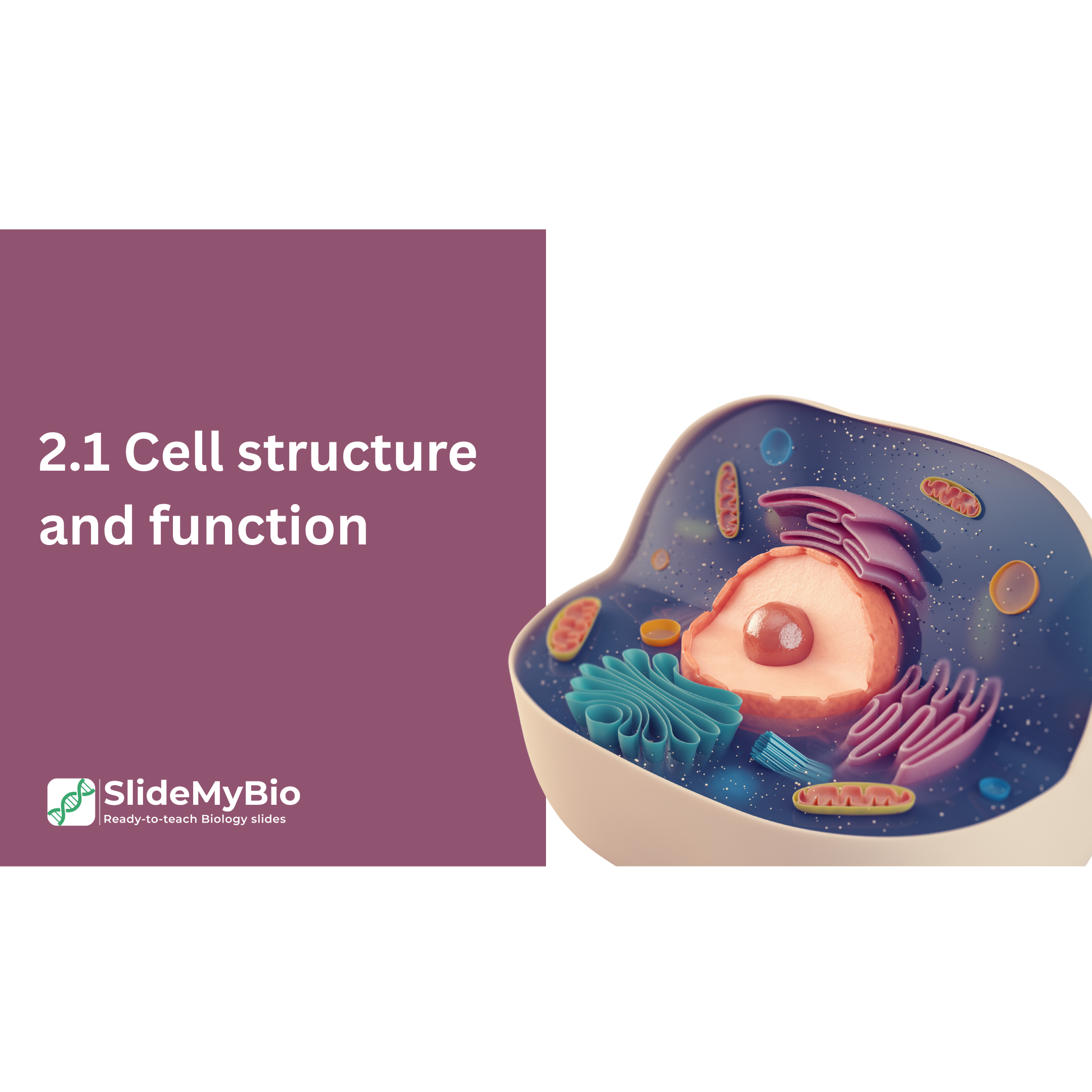 AP® Biology Unit 2.1 Cell structure and Function