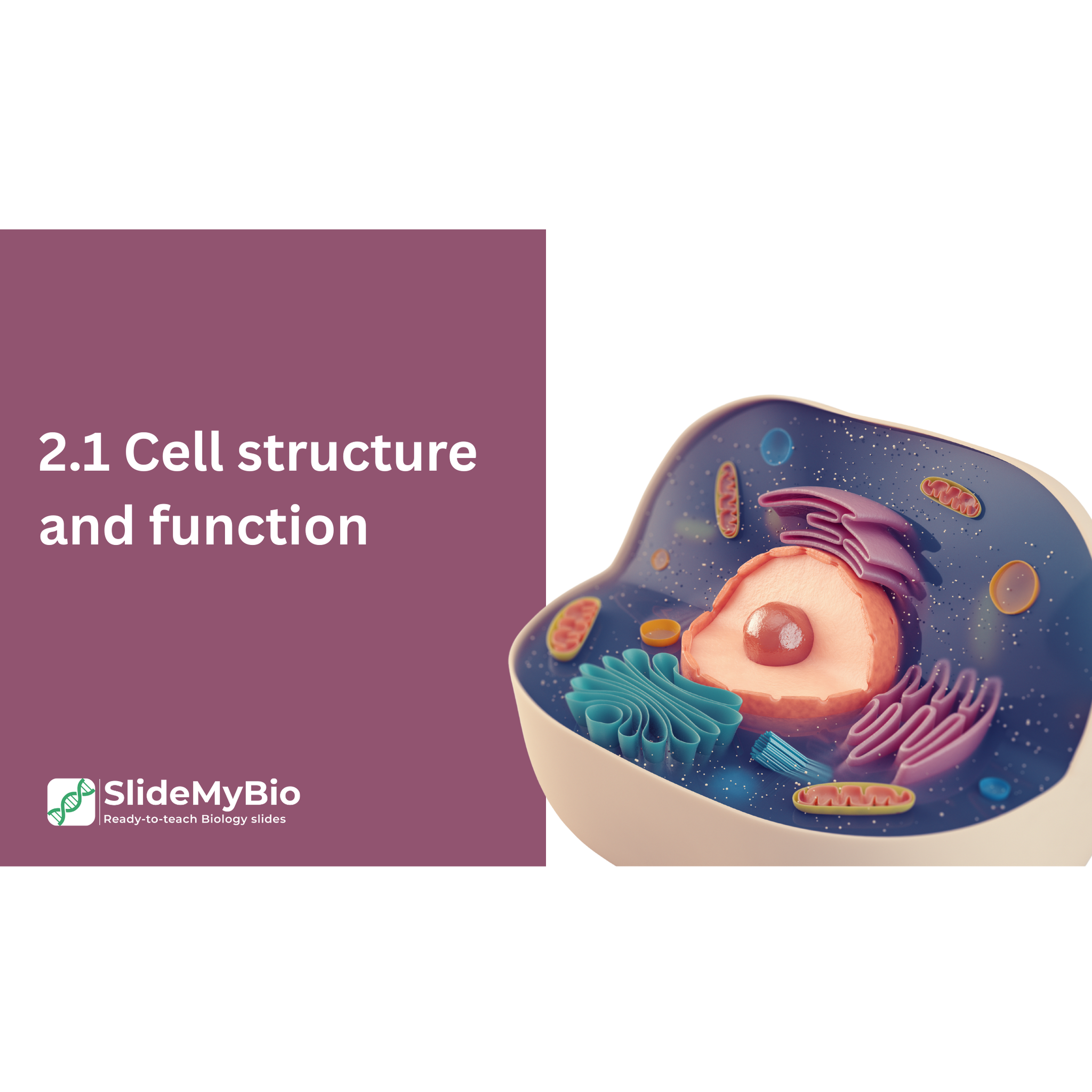 AP® Biology Unit 2.1 Cell structure and Function